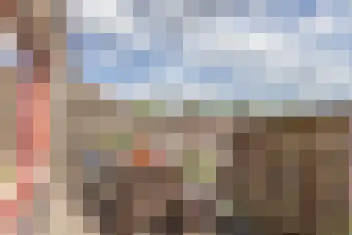 Albert van Dalsumlaan 505 Utrecht thumbnail 21