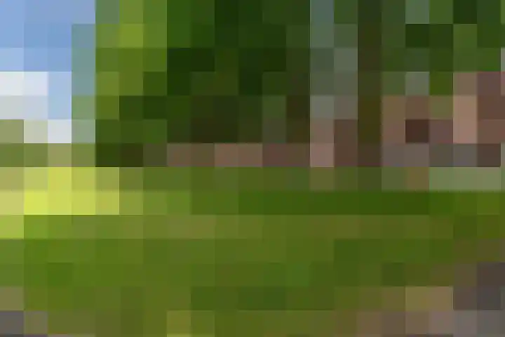 Albert van Dalsumlaan 505 Utrecht thumbnail 32