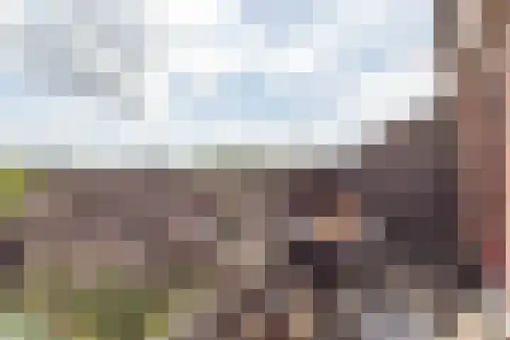 Albert van Dalsumlaan 505 Utrecht thumbnail 4