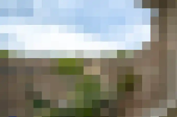 Albert van Dalsumlaan 543 Utrecht thumbnail 16