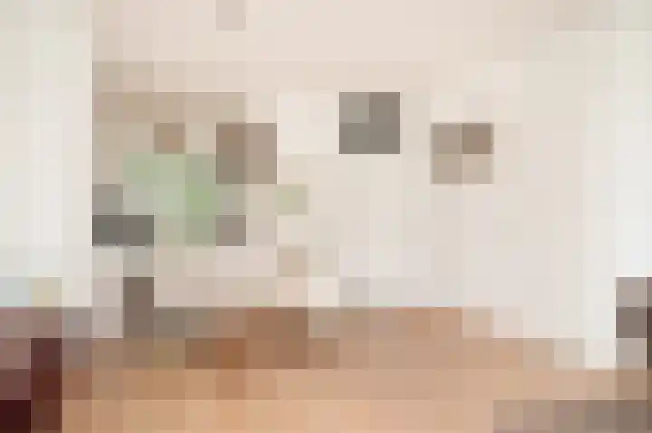 Albert van Dalsumlaan 543 Utrecht thumbnail 4