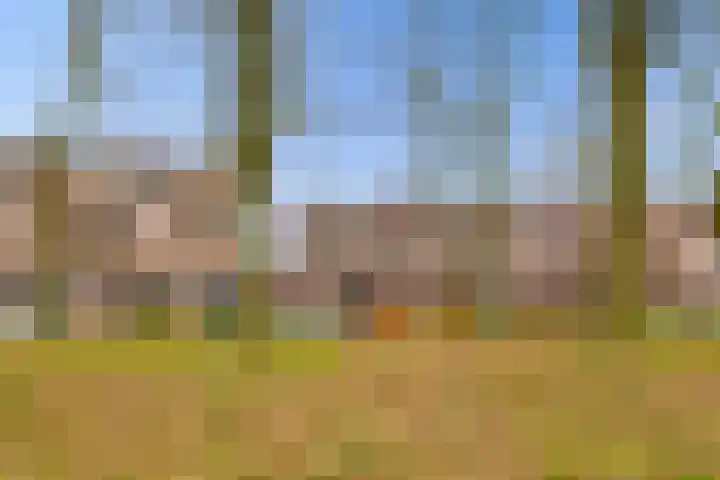 Albert van Dalsumlaan 557 Utrecht thumbnail 35