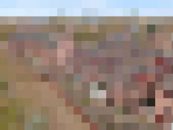 Albert van Dalsumlaan 557 Utrecht thumbnail 36