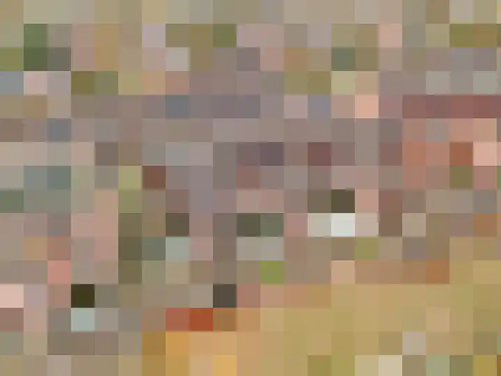 Albert van Dalsumlaan 557 Utrecht thumbnail 37