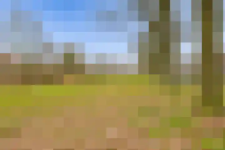 Albert van Dalsumlaan 557 Utrecht thumbnail 39