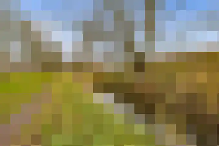 Albert van Dalsumlaan 557 Utrecht thumbnail 41