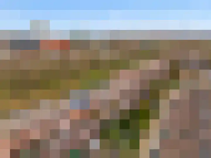 Albert van Dalsumlaan 557 Utrecht thumbnail 43