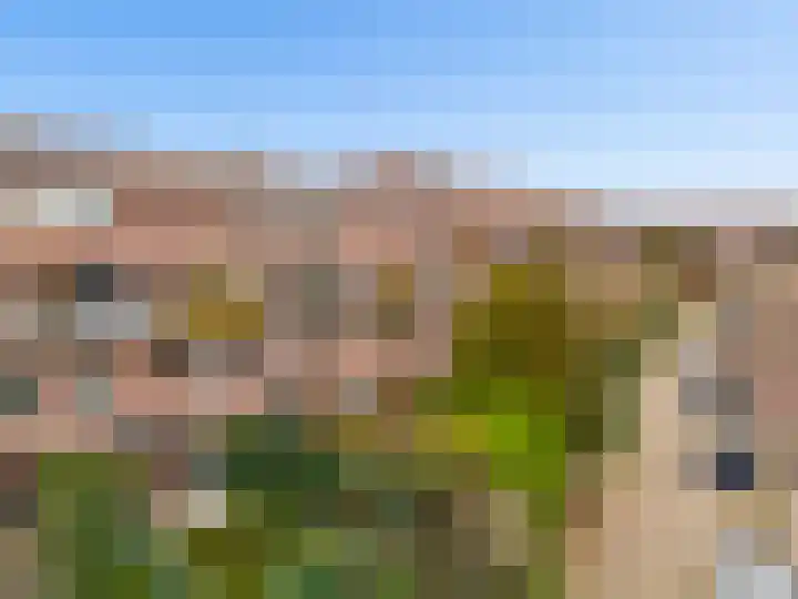 Albert van Dalsumlaan 557 Utrecht thumbnail 5
