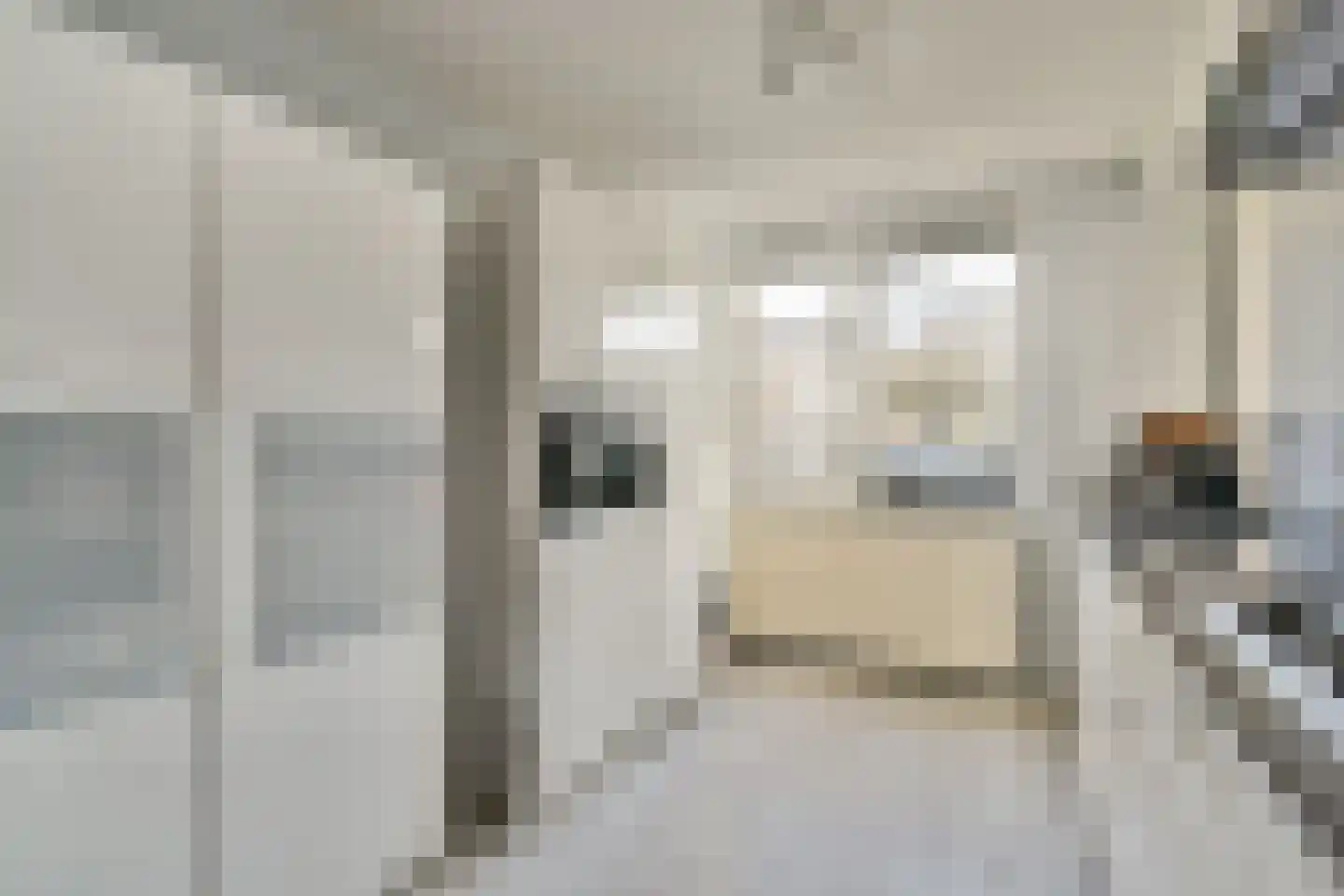 Albert van Dalsumlaan 58 Amstelveen thumbnail 5