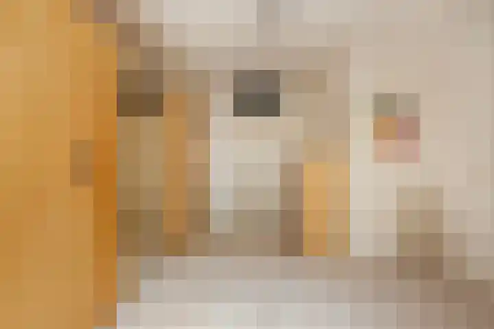 Albert van Dalsumlaan 597 Utrecht thumbnail 14