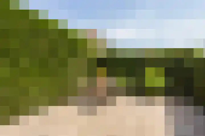 Albert van Dalsumlaan 597 Utrecht thumbnail 21