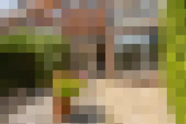 Albert van Dalsumlaan 597 Utrecht thumbnail 24