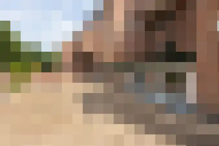 Albert van Dalsumlaan 597 Utrecht thumbnail 25