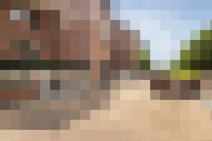 Albert van Dalsumlaan 597 Utrecht thumbnail 26