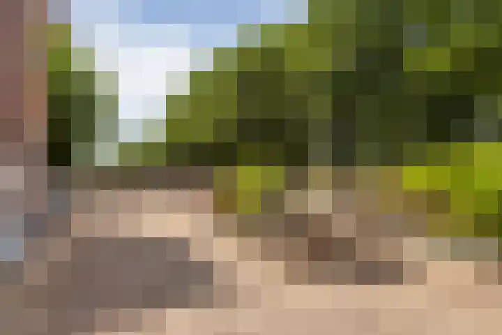 Albert van Dalsumlaan 597 Utrecht thumbnail 27
