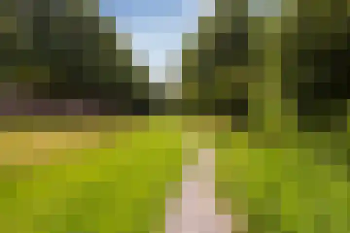 Albert van Dalsumlaan 597 Utrecht thumbnail 29