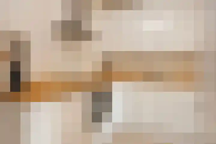 Albert van Dalsumlaan 597 Utrecht thumbnail 4