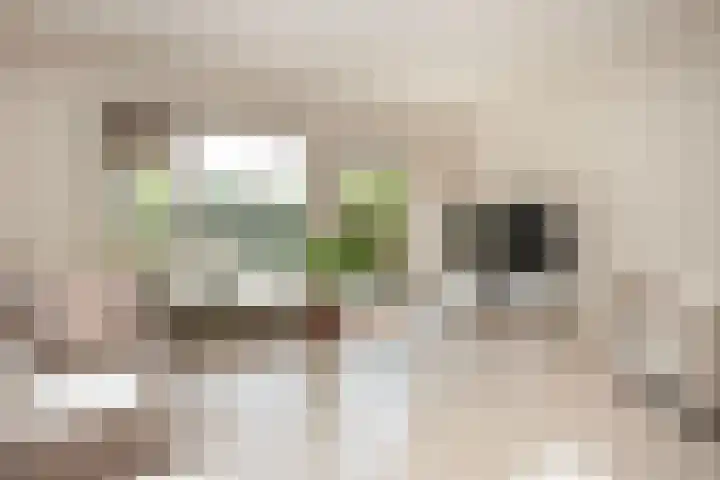 Albert van Dalsumlaan 597 Utrecht thumbnail 6