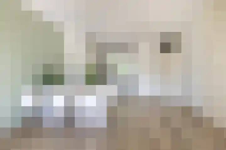 Albert van Dalsumlaan 63 Utrecht thumbnail 17