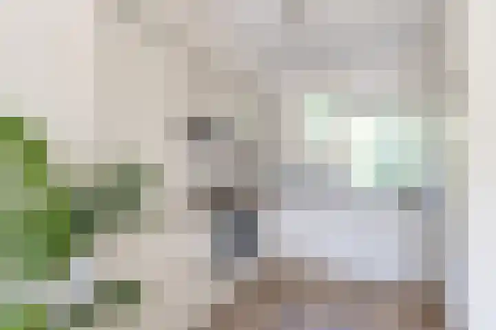 Albert van Dalsumlaan 63 Utrecht thumbnail 20
