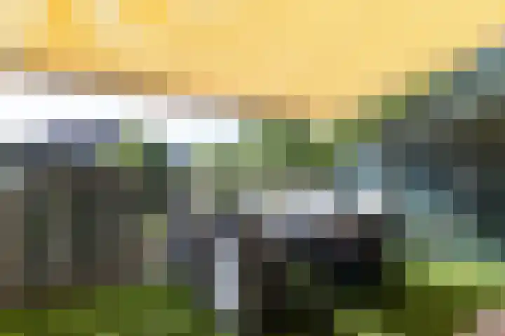 Albert van Dalsumlaan 63 Utrecht thumbnail 24