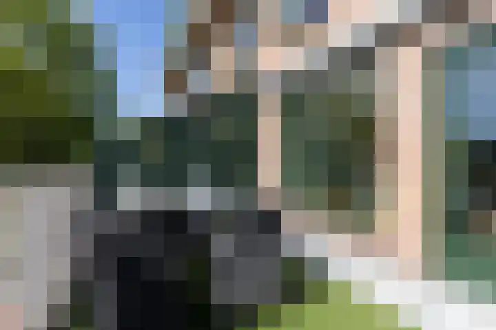 Albert van Dalsumlaan 63 Utrecht thumbnail 25