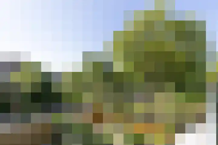 Albert van Dalsumlaan 63 Utrecht thumbnail 27
