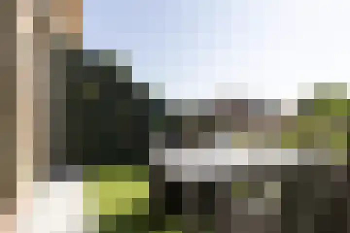 Albert van Dalsumlaan 63 Utrecht thumbnail 28
