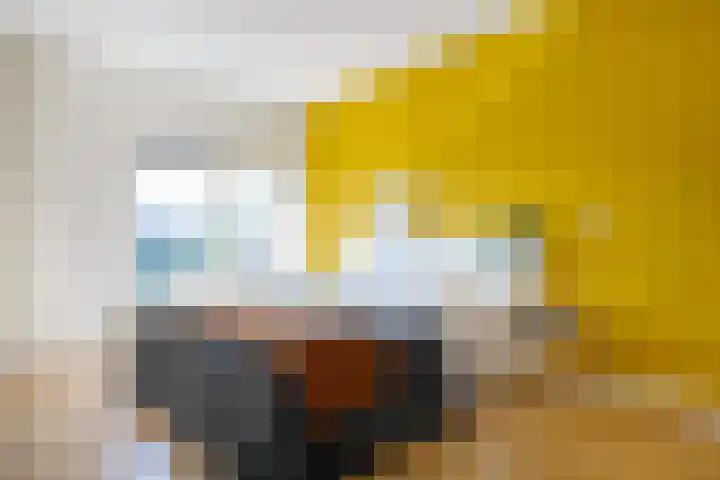Albert van Dalsumlaan 63 Utrecht thumbnail 31