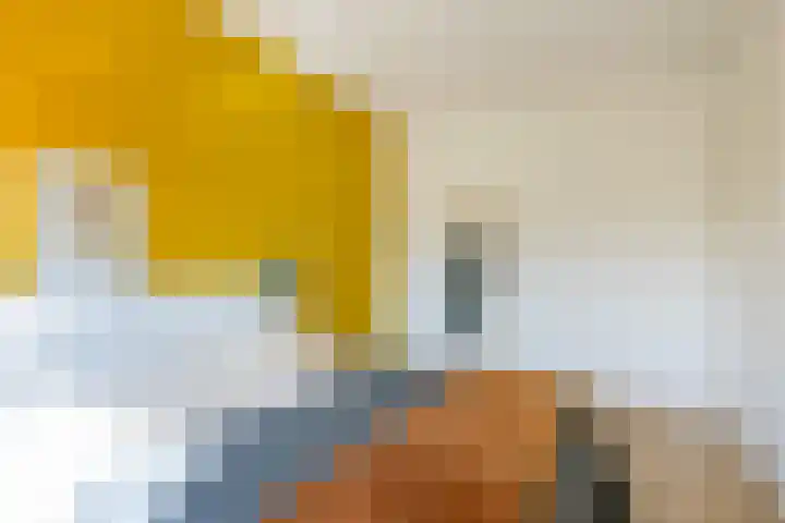 Albert van Dalsumlaan 63 Utrecht thumbnail 33