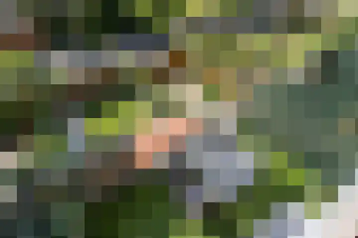 Albert van Dalsumlaan 63 Utrecht thumbnail 37