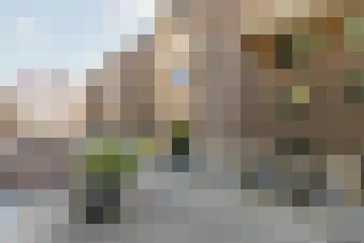 Albert van Dalsumlaan 63 Utrecht thumbnail 44