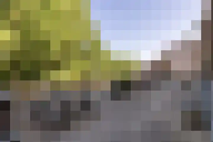Albert van Dalsumlaan 63 Utrecht thumbnail 45