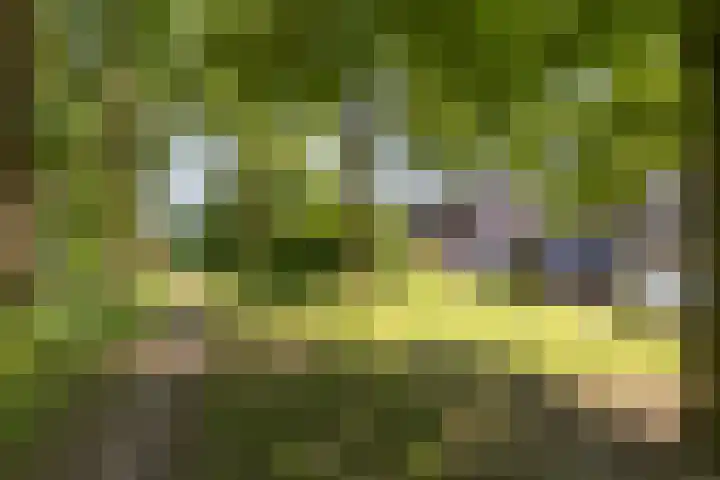 Albert van Dalsumlaan 63 Utrecht thumbnail 47