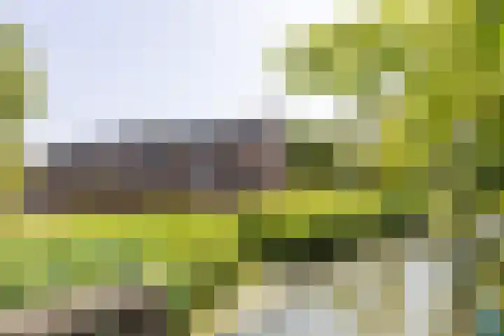 Albert van Dalsumlaan 63 Utrecht thumbnail 48