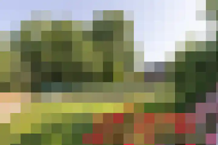 Albert van Dalsumlaan 63 Utrecht thumbnail 49