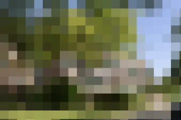 Albert van Dalsumlaan 63 Utrecht thumbnail 50