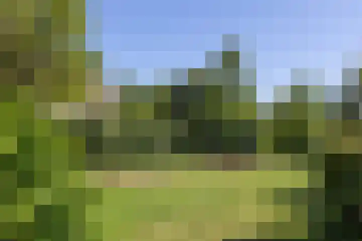 Albert van Dalsumlaan 63 Utrecht thumbnail 51