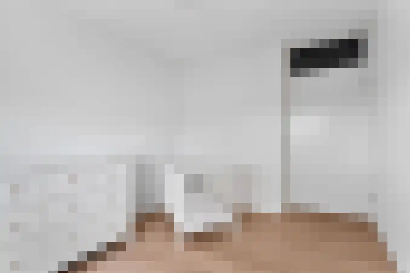 Albert van Dalsumlaan 67 Arnhem thumbnail 33