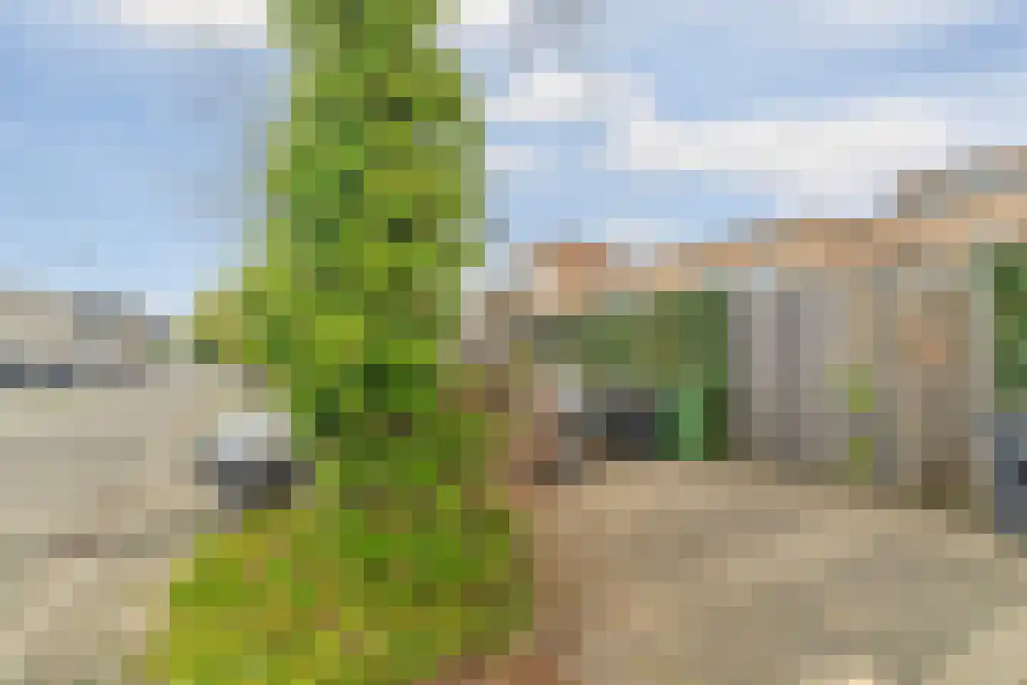 Albert van Dalsumlaan 67 Arnhem thumbnail 56