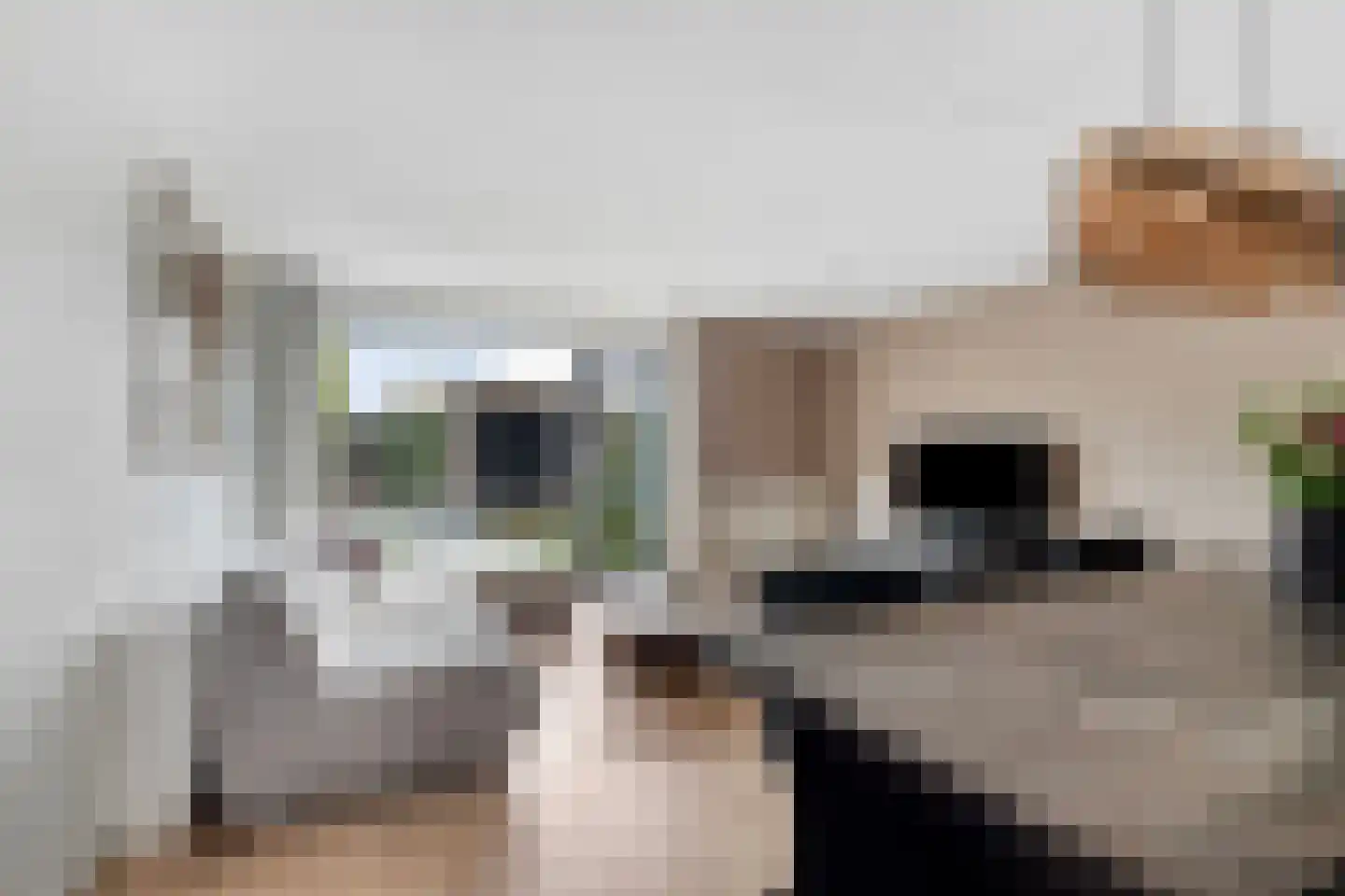 Albert van Dalsumlaan 67 Arnhem thumbnail 6