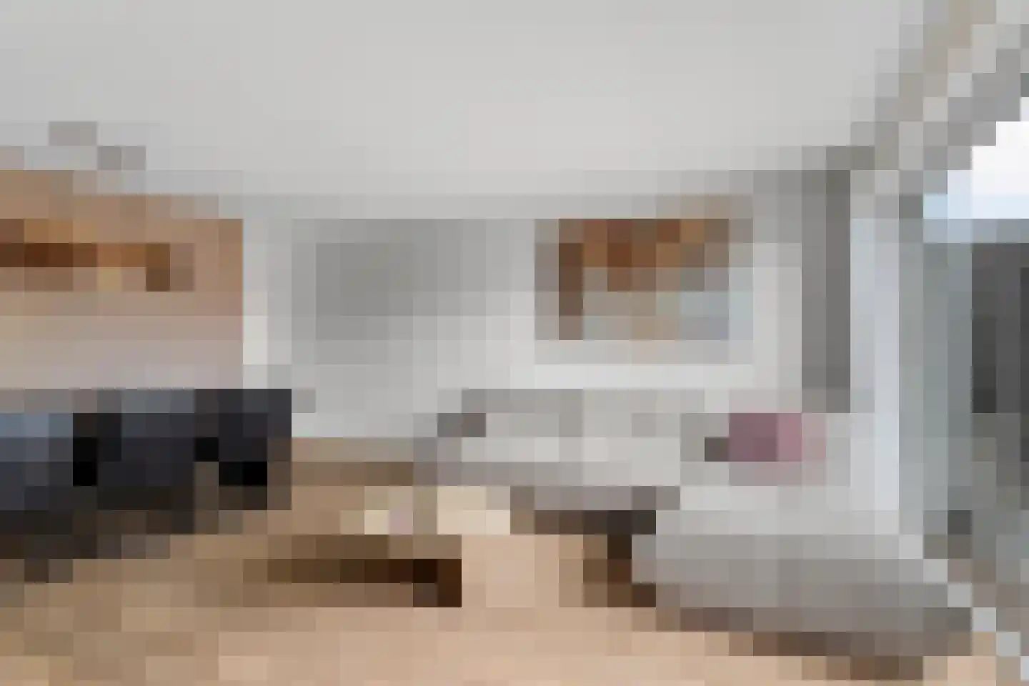 Albert van Dalsumlaan 67 Arnhem thumbnail 7