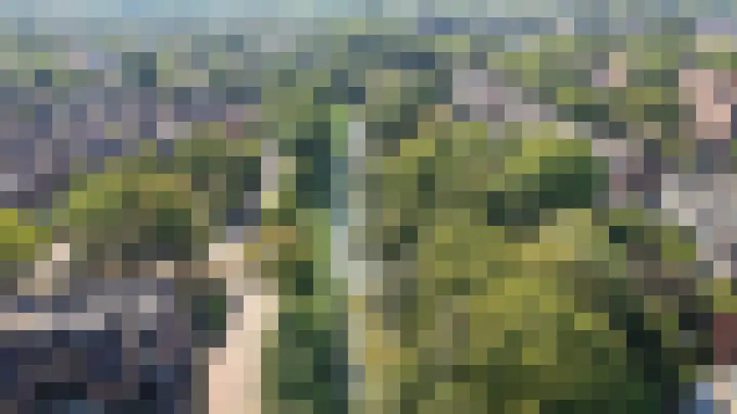 Albert van Dalsumlaan 67 Utrecht thumbnail 41