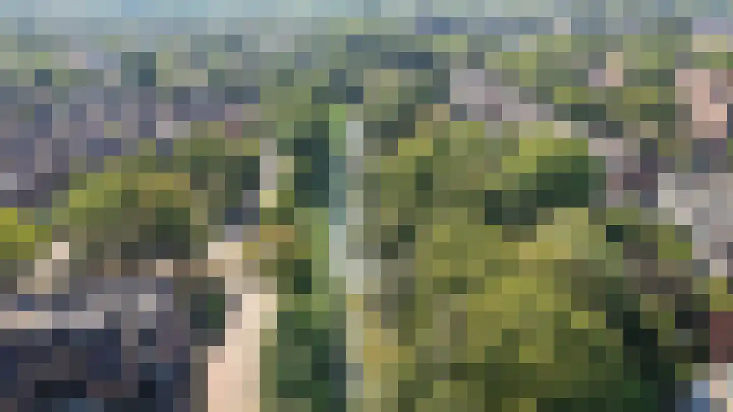 Albert van Dalsumlaan 67 Utrecht thumbnail 42