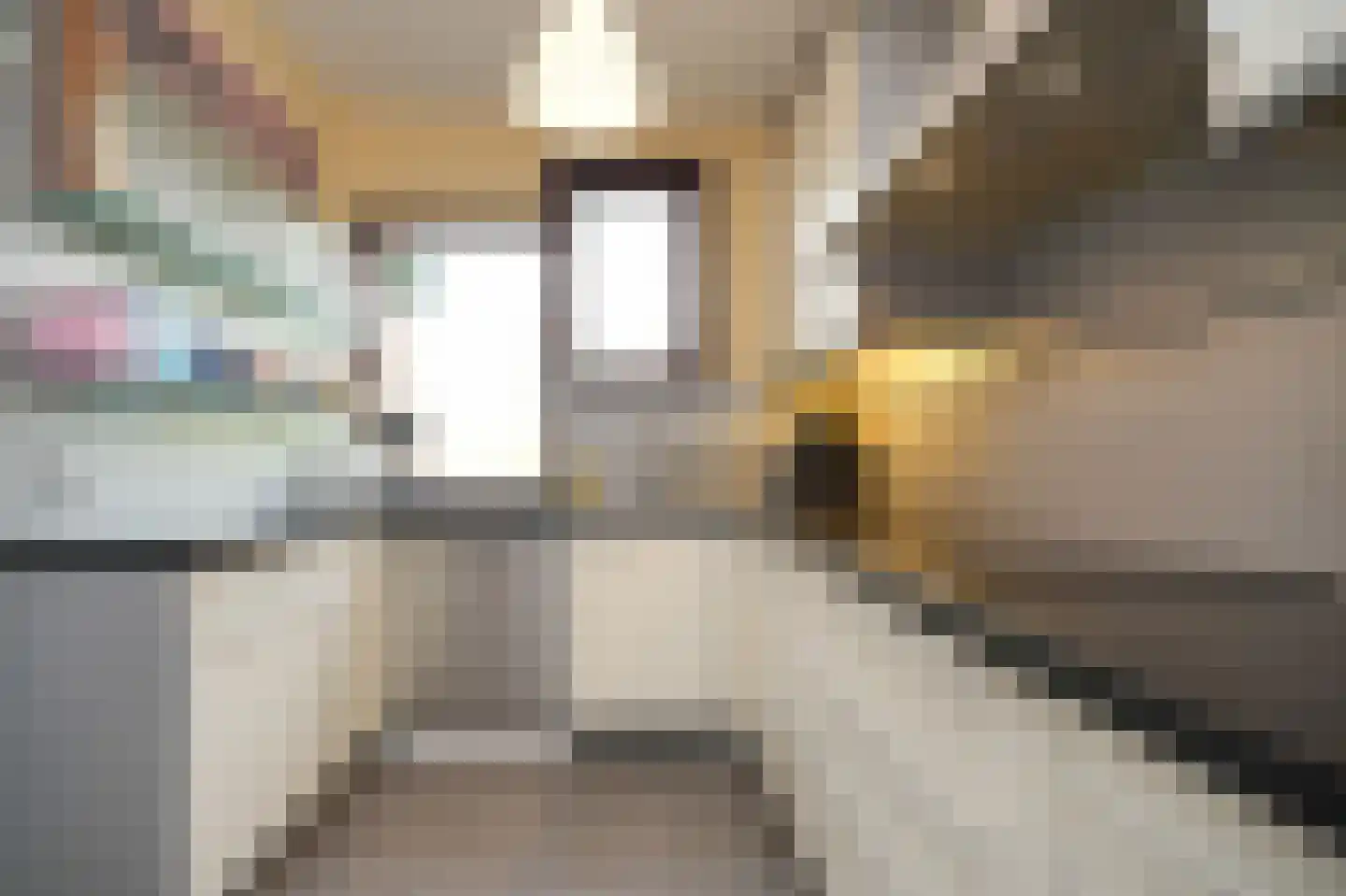 Albert van Dalsumlaan 703 Utrecht thumbnail 10