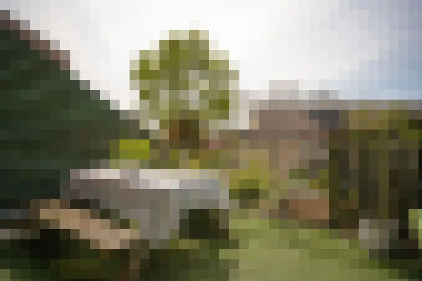 Albert van Dalsumlaan 703 Utrecht thumbnail 14