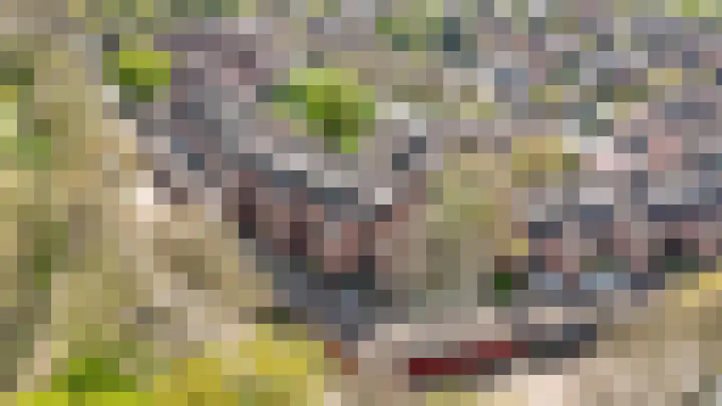 Albert van Dalsumlaan 703 Utrecht thumbnail 36