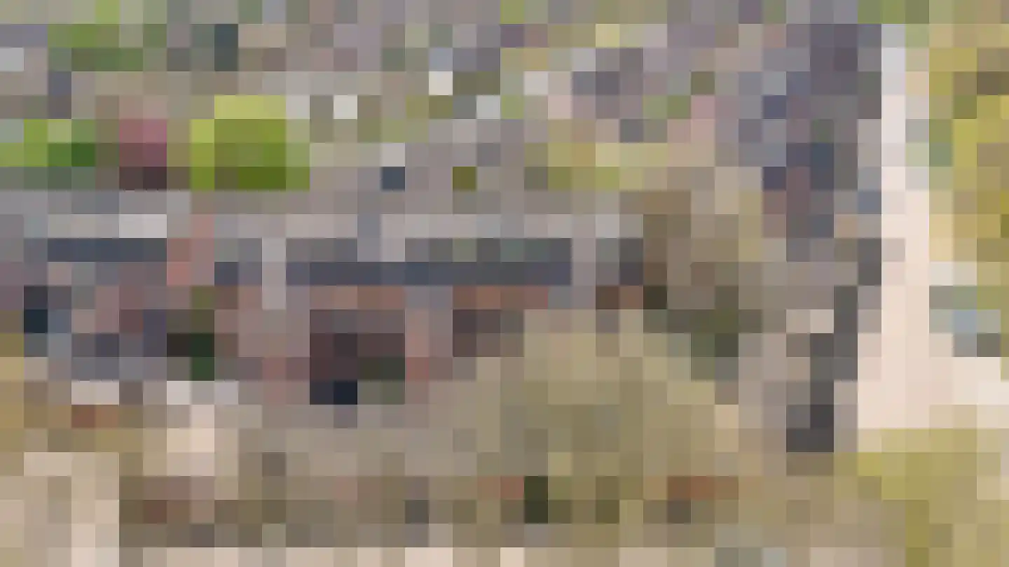 Albert van Dalsumlaan 703 Utrecht thumbnail 37