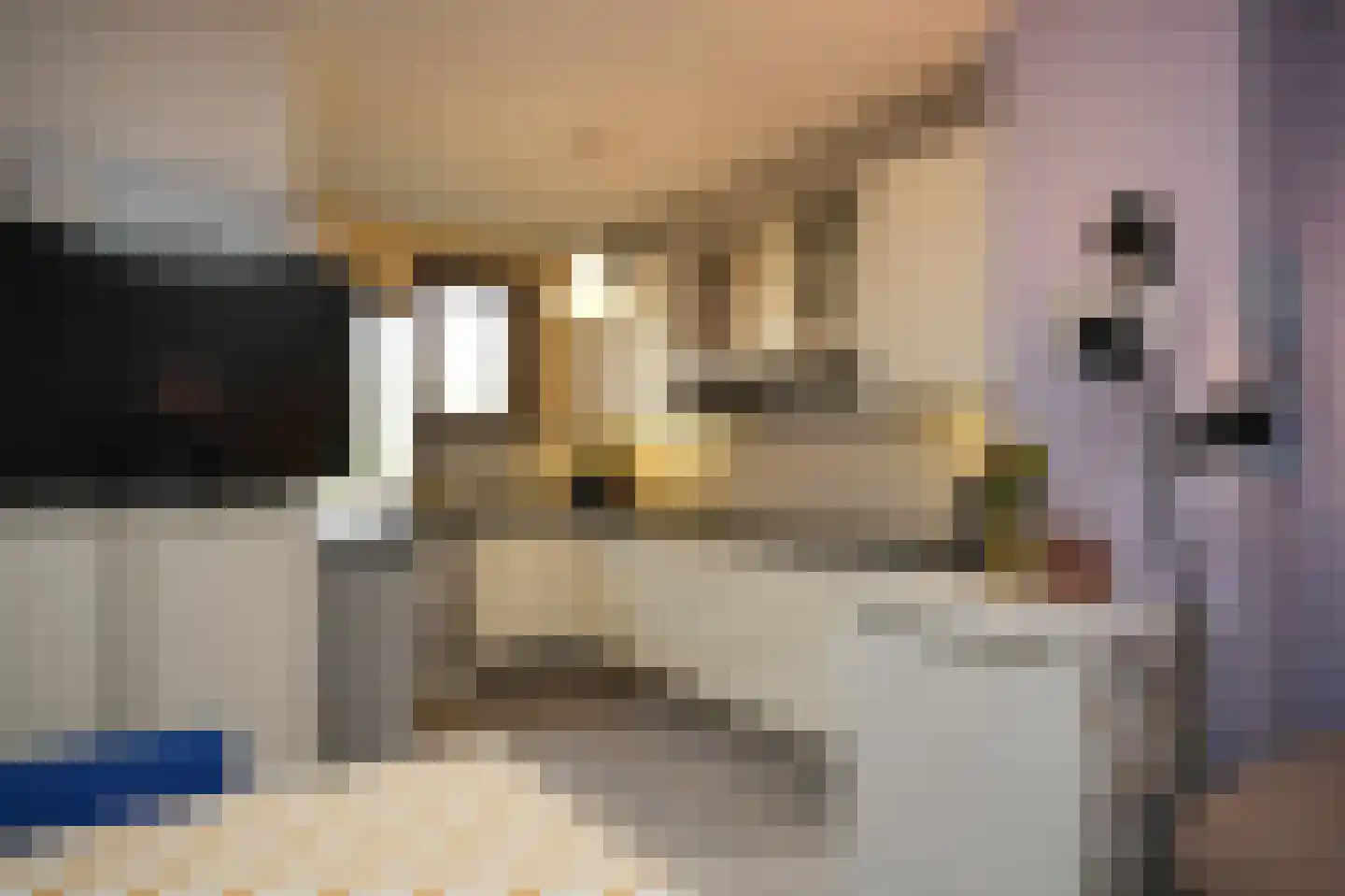 Albert van Dalsumlaan 703 Utrecht thumbnail 8