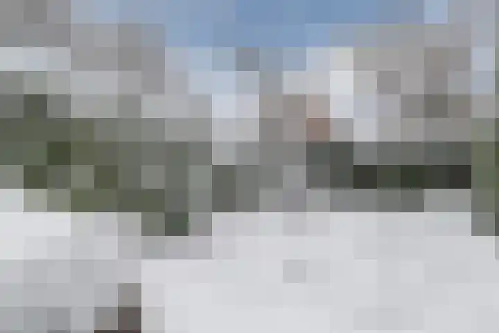 Albert van Dalsumlaan 75 Utrecht thumbnail 13